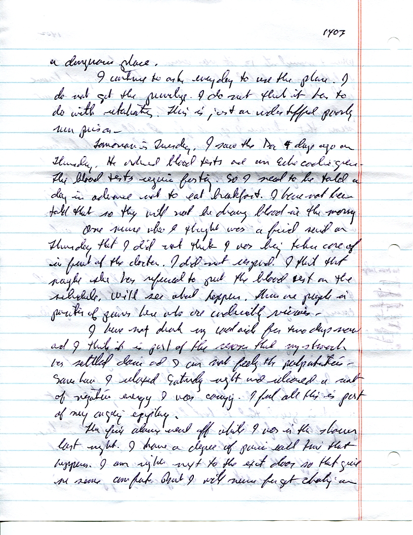 Dr John WorldPeace 2008 Prison Journal